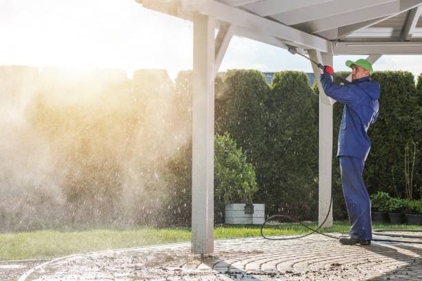Best Patio and Deck Pressure Washing  in Willow, AK